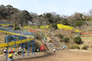画像8