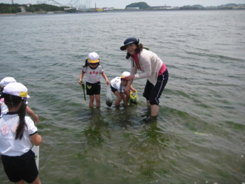 画像7