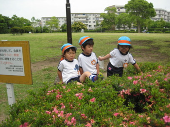 画像6