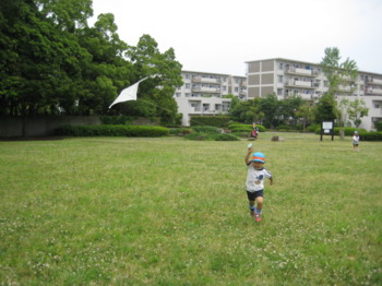 画像8