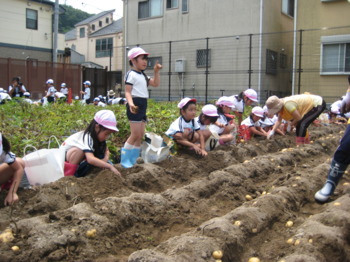画像5