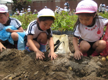 画像6