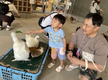 画像8